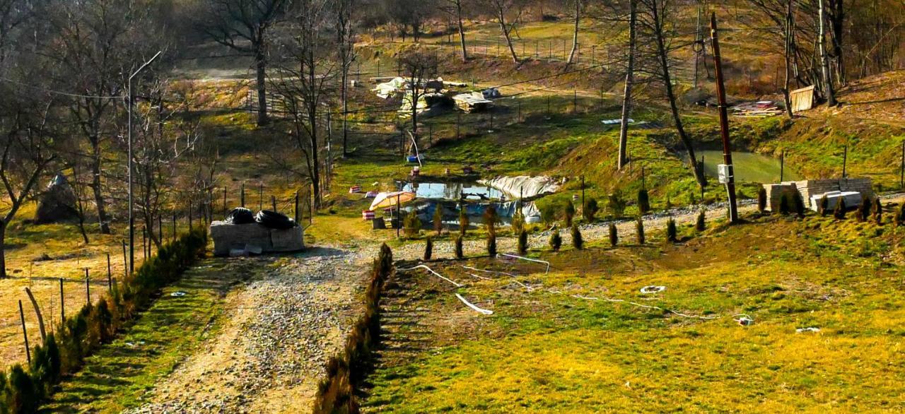 Pensiunea La Buruiana Curtea de Argeş Exterior foto